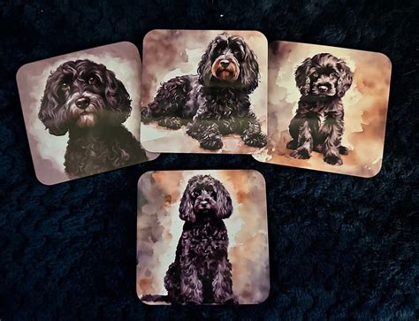 Image result for Cockapoo for Sale Cork