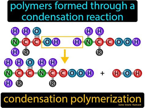 Image result for Condensation Polymerization