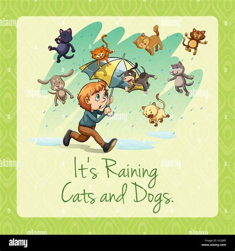 Raining cats and dogs illustration Stock Vector Image & Art - Alamy