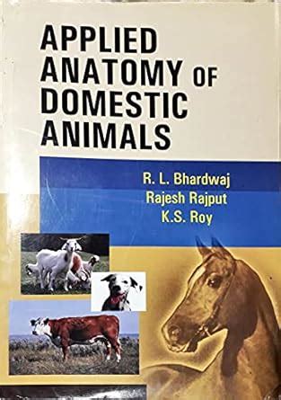 Amazon.in: Buy Applied Anatomy Of Domestic Animals Book Online at Low ...