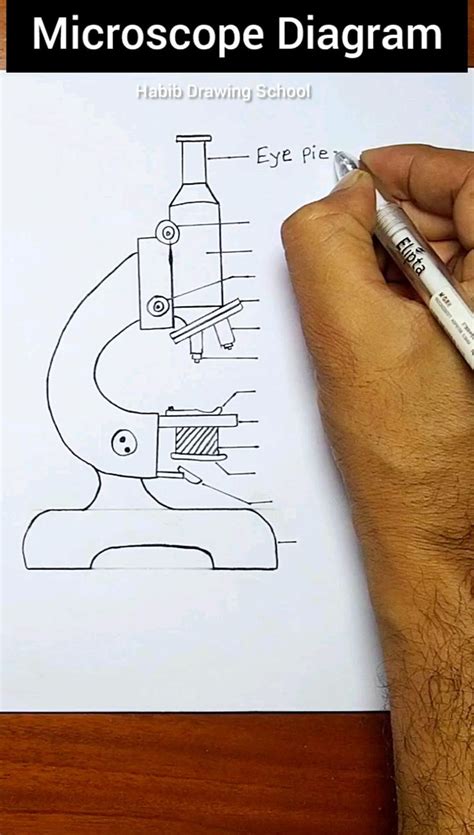 How to Draw a Microscope Easy 的图像结果