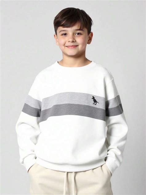 SHEIN Tween Boy Colorblock Dinosaur Print Sweatshirt | SHEIN USA