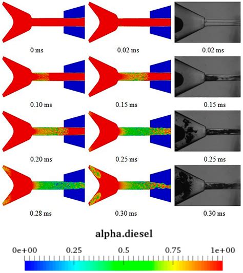 Effect of Fuel Mass Flow at the End of Injection on Cavitation and Gas ...