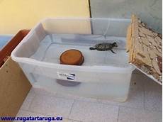 vasche x tartarughe d acqua ruga tartaruga cosa mangia dove vive quanta acqua vuole vasche x tartarughe d acqua ruga tartaruga cosa mangia dove vive quanta acqua vuole