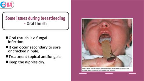 Breastfeeding tips for new moms | PPTX