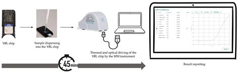 Chip-Based Molecular Evaluation of a DNA Extraction Protocol for ...