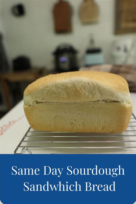 poolish sandwich bread
