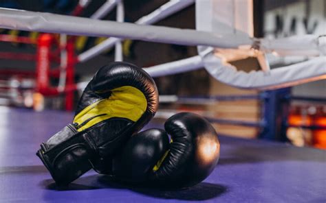 Boxing Exercise Equipment 的图像结果