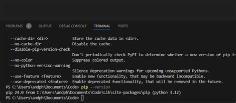 Image result for Check PIP Version in Vscode