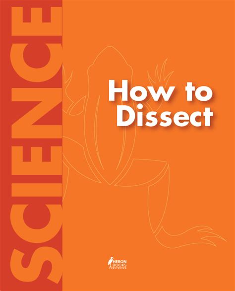 Image result for Dissect
