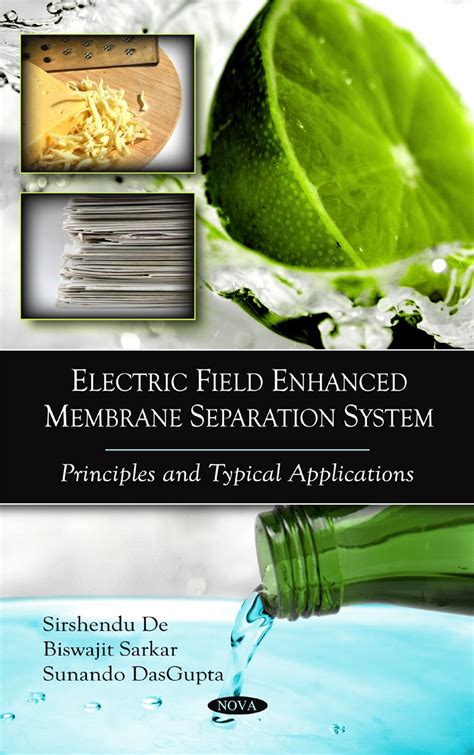 Buy Electric Field Enhanced Membrane Separation System: Principles ...