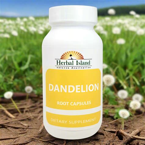 Dandelion Root Powder Capsules (500mg) | Herbal Island