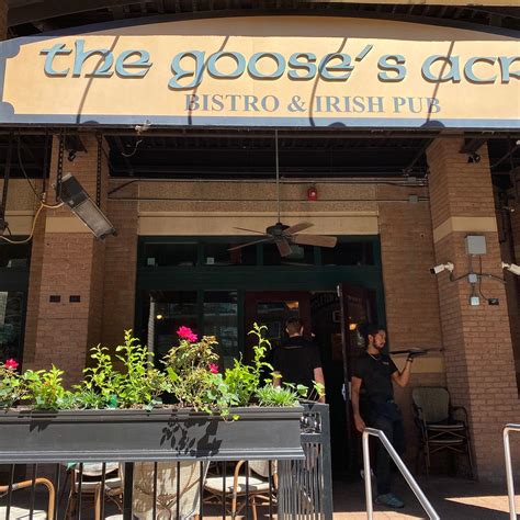 THE GOOSE'S ACRE, Woodlands - Menu, Prices & Restaurant Reviews ...