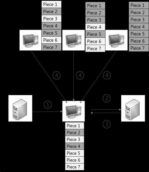 BitTorrent Network 的图像结果