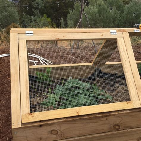 Protecting my produce with raised garden bed covers – Wide Open Mind ...