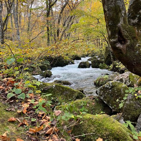 MAKADO ROCK (2025) All You Need to Know BEFORE You Go (with Photos ...