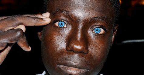 Beautiful Genetics 的图像结果