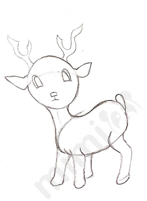 Deer Drawing Tutorial 的图像结果