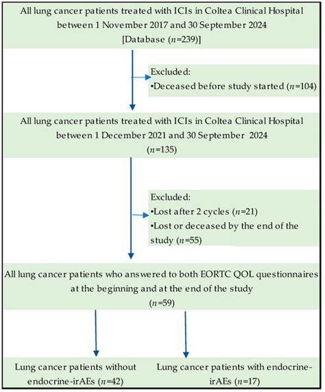 Quality of Life of Lung Cancer Patients with Immune-Related ...