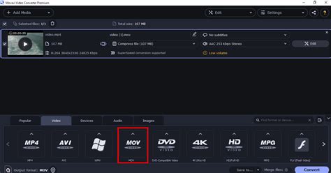 Video File Conversion Tutorial 的图像结果
