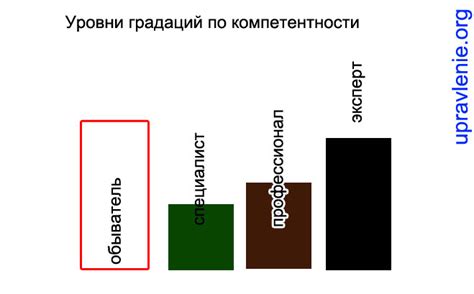 Профессионал и Специалист - уровни мастерства