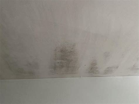 Mold on bedroom ceiling keeps coming back : r/Mold