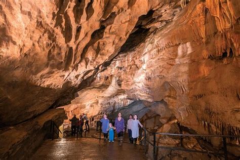 Absolutely amazing - Reviews, Photos - Cheddar Gorge & Caves - Tripadvisor