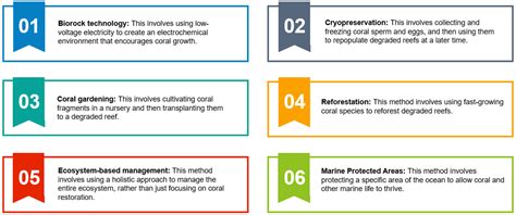Threats to Coral Reefs: Causes, Impact, and Conservation Efforts