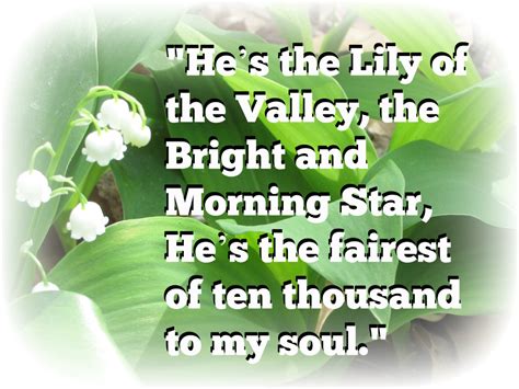 lily of the valley quotes