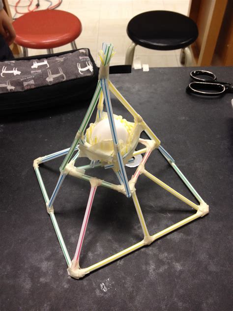 Egg Drop Physics Project With Straws at Ava Oshaughnessy blog