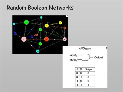 Image result for Random Boolean Networks