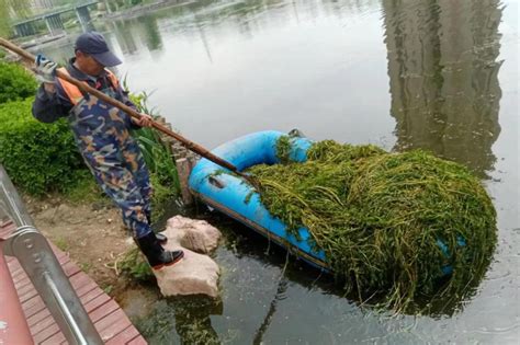 人工水草-生物膜技术在河道治理中的应用 - 知乎