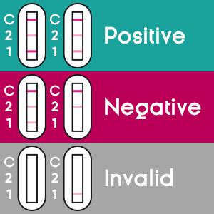 Buy Ovlo Ovulation Test Kit - Single Step Ovulation Kit Pack for Home ...