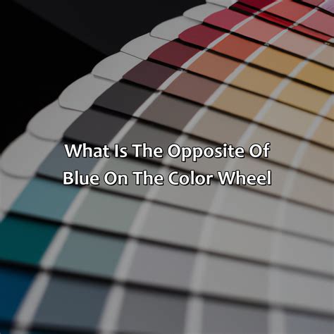 What Is The Opposite Of Blue On The Color Wheel - colorscombo.com