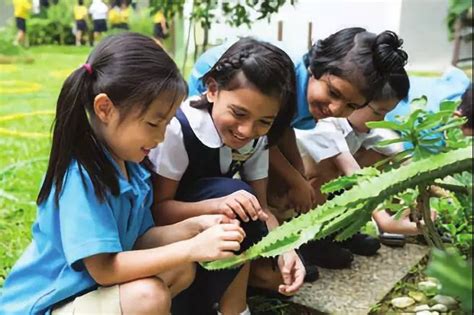 新加坡留学 选择新加坡留学的十个优势 | 狮城新闻 | 新加坡新闻