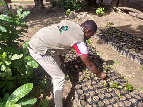 Image result for Community Tree-Planting