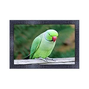 pnf Poster And Frames Parrot Framed Wall Painting | For Living Room ...
