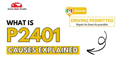 Engine Code P2401 的图像结果