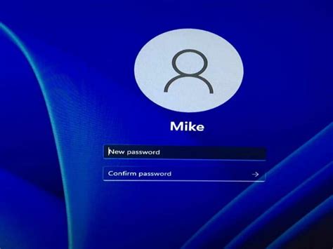 Image result for Windows 11 Password Input