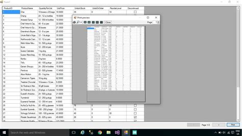 DataGridView Tutorial 的图像结果