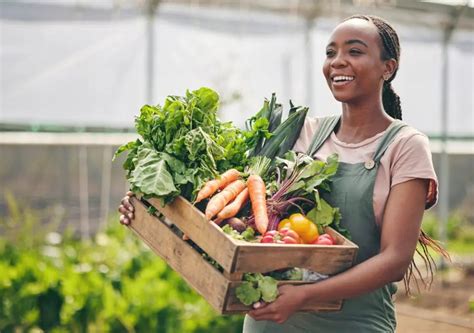Hidden Glucose in Veggies: Boosting Gut Health and Blood Sugar Control ...