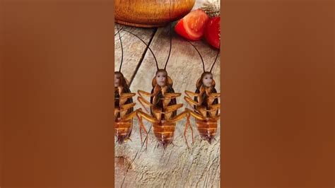 Cockroach Dance Song 的图像结果