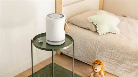 What Does Black Mold Smell Like in Walls? - Molekule