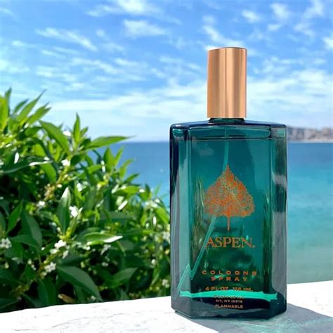AVS Fragrances Aspen Coty Pour Homme Eau De Cologne for Men – Fresh ...