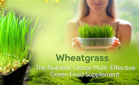 Buy Ved Tattva Wheat grass Powder | 500 Gms | Immunity Booster ...