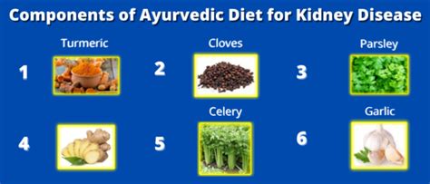 Components Of Ayurvedic Diet For Kidney Disease - Delhi - Click.in