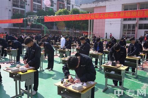 2022年凌云县中等职业学校招生简章、地址、电话、公办还是民办|中专网