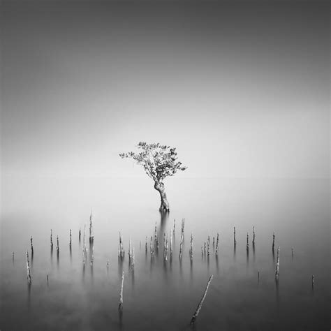 Image result for VisionTree