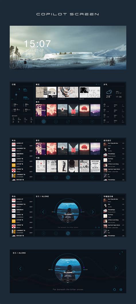 Co-Pilot Computer Screen 的图像结果