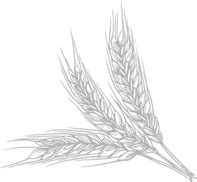 A one Life Style - Agriculture & Farming Food Template - Home Three